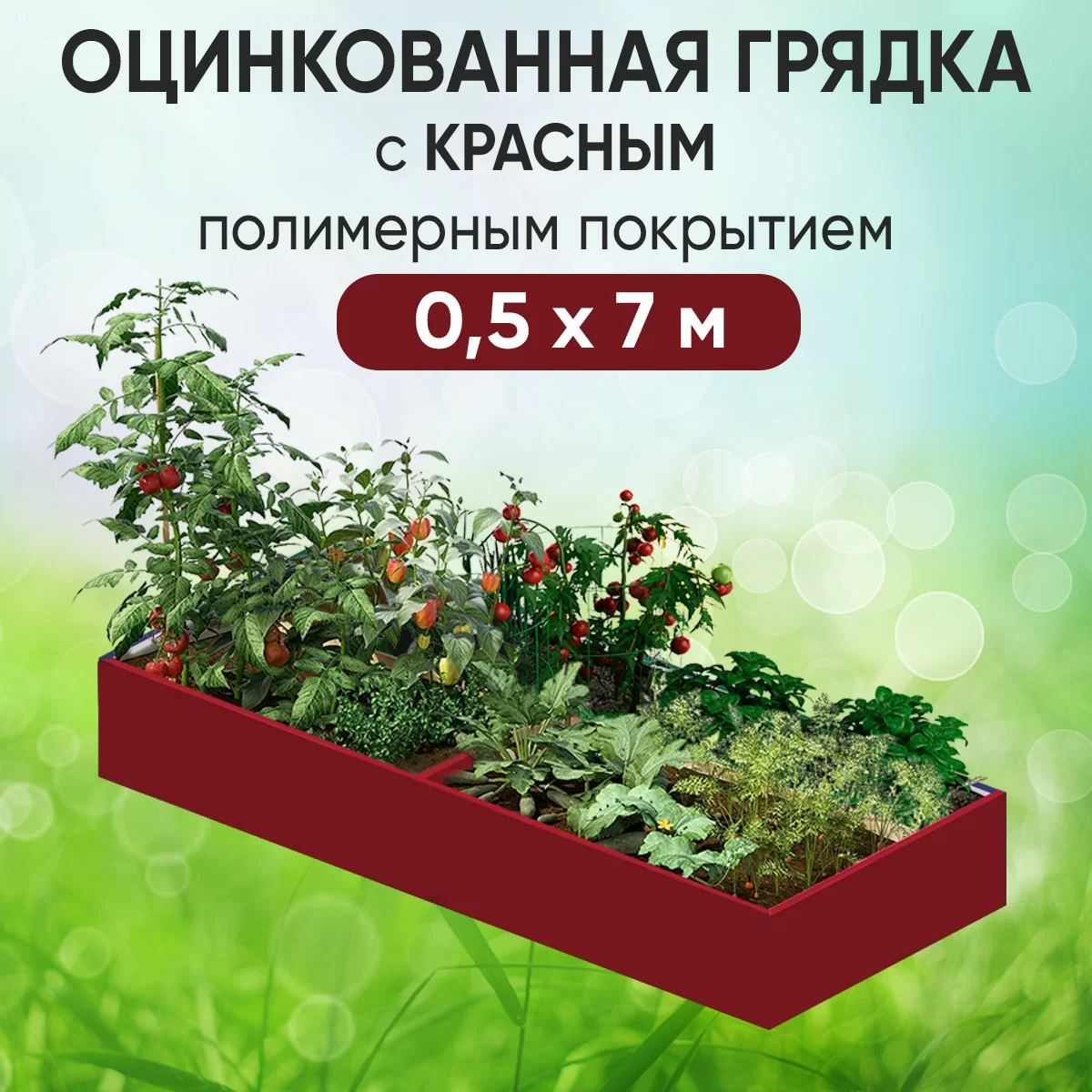 Грядка красная (0,5 х 7)
