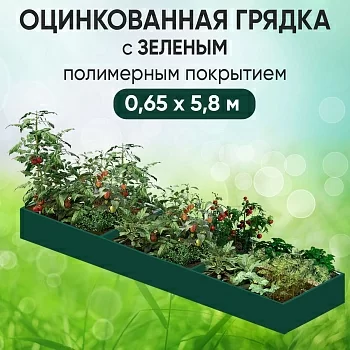 Грядка зеленая (0,65 х 5,8)