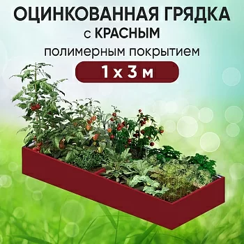 Грядка красная (1 х 3)