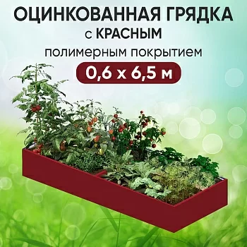 Грядка красная (0,6 х 6,5)