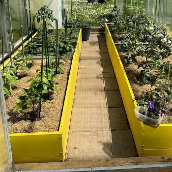 Высокая желтая грядка (0,8 х 6)